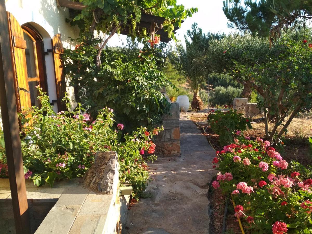 Porto Heli Apartments Palekastro Exterior photo