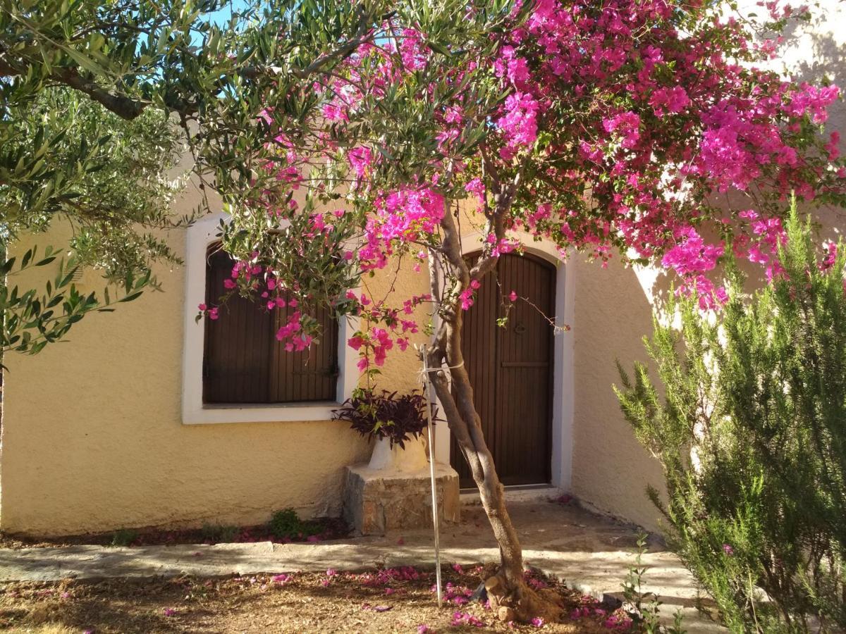 Porto Heli Apartments Palekastro Exterior photo
