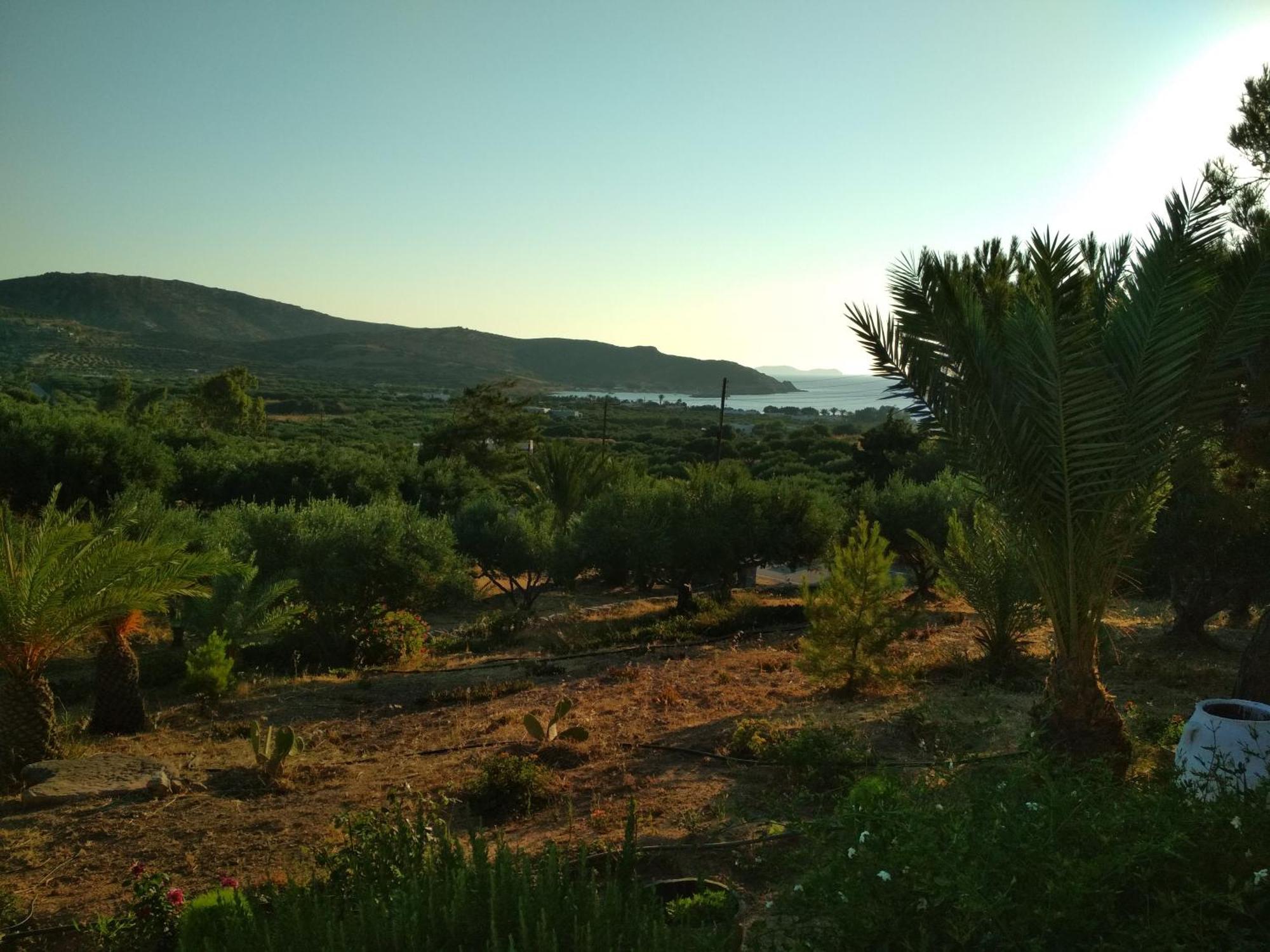 Porto Heli Apartments Palekastro Exterior photo