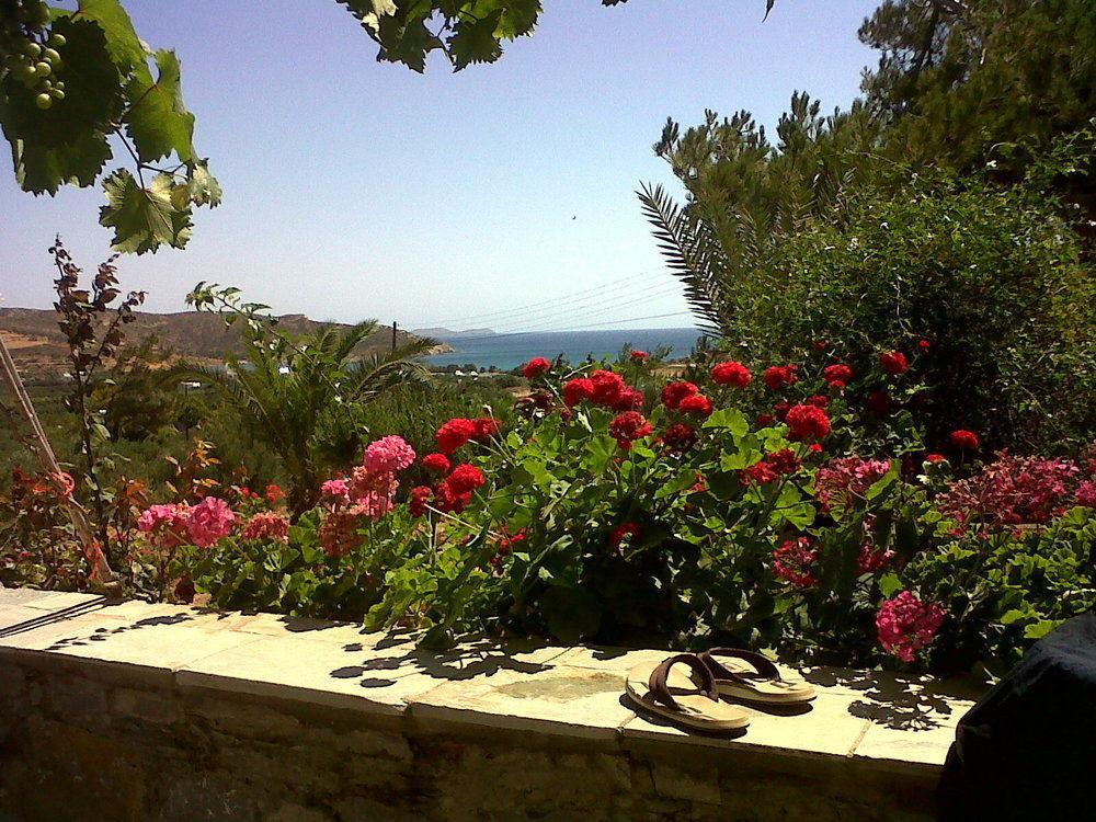 Porto Heli Apartments Palekastro Exterior photo